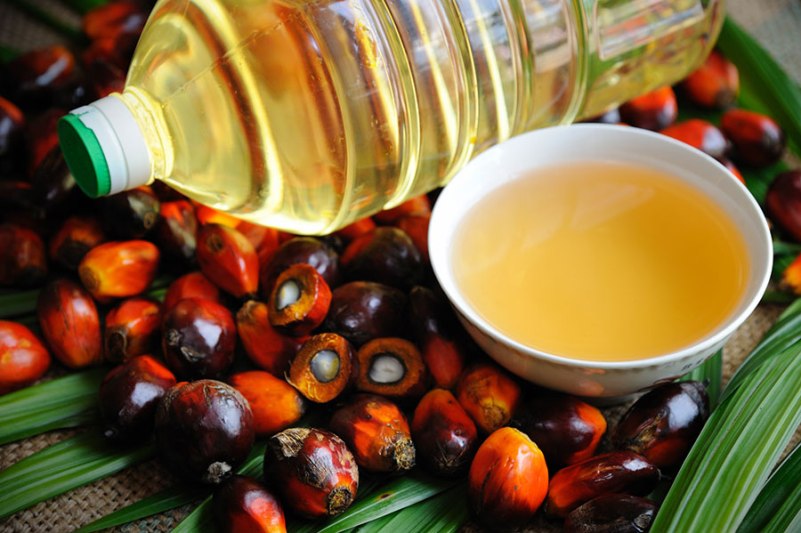 صنعت روغن پالم جا پای مافیای سیگار و الکل می‌گذارد