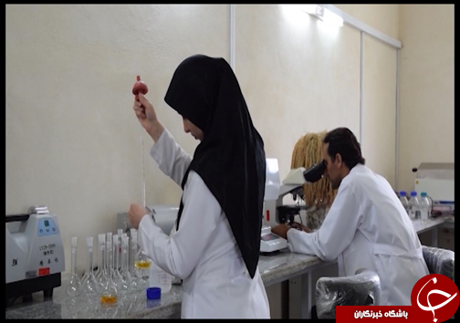 بارور کردن باور خواستن و توانستن