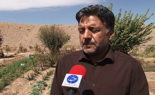 بانوی کار آفرین یزدی در عمل فعل &ldquo;خواستن توانستن &ldquo;است رامعنا می&zwnj;کند