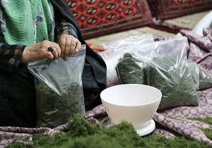 افزایش ۴.۵ برابری اعطای تسهیلات به مشاغل خانگی