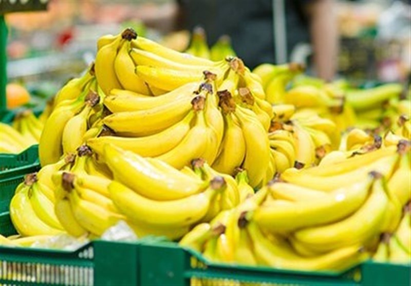 واردات موز  ۳۸ درصد کاهش یافت