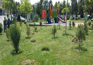 صرفه جویی ۲۰ درصدی مصرف آب با جداسازی آب فضای سبز از آب شرب