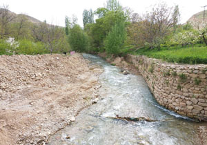 چشم‌اندازی از طبیعت دل‌نواز در روستای سرچشمه + تصاویر
