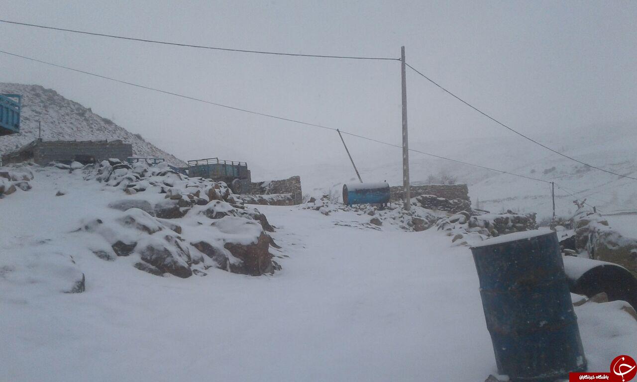برف، روستای کلاته سهراب را سفیدپوش کرد