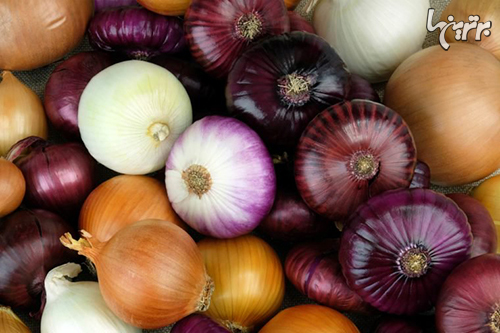 چگونه میوه و سبزیجات را تازه نگه داریم؟ چگونه میوه و سبزیجات را تازه نگه داریم؟