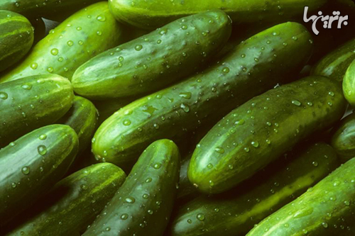 چگونه میوه و سبزیجات را تازه نگه داریم؟ چگونه میوه و سبزیجات را تازه نگه داریم؟