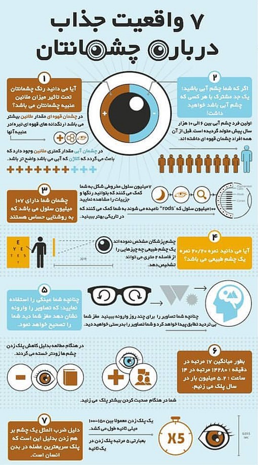 نکاتی عجیب ولی واقعی از دنیای چشم +اینفوگرافی