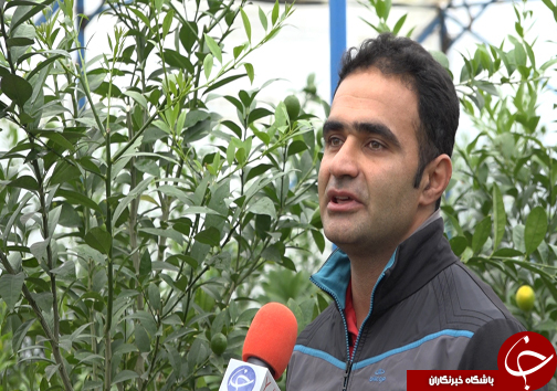 گلخانه&zwnj;هایی به وسعت یک روستا + فیلم