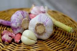 سیر؛ از پاکسازی عروق تا سلامت مغز
