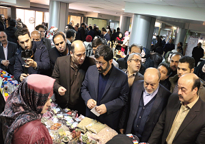 صدور بیش از ۳ هزار مجوز مشاغل خانگی در استان اردبیل