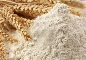 توزیع ۱۷ میلیون کیلوگرم آرد بین روستائیان خراسان جنوبی