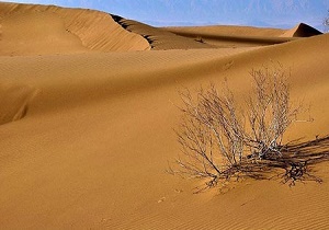 نجات ۹ گردشگر گرفتار شده در کویر توسط پلیس