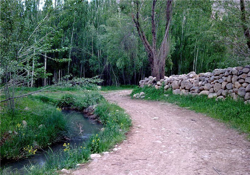&laquo;ونایی&raquo; در تصرف سفره&zwnj;خانه&zwnj;های بدون مجوز/ ساماندهی شاید وقتی دیگر!