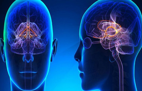 ۵ راهکار ساده برای افزایش سطح دوپامین در مغز/دوپامین چیست؟