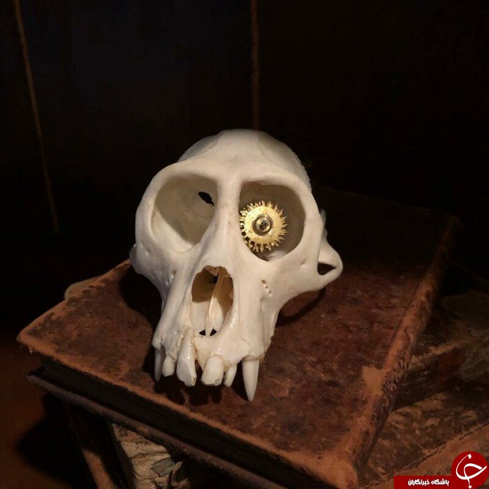 کله پاچه آراسته شده هنر دست هنرمندی ناشناس+تصاویر