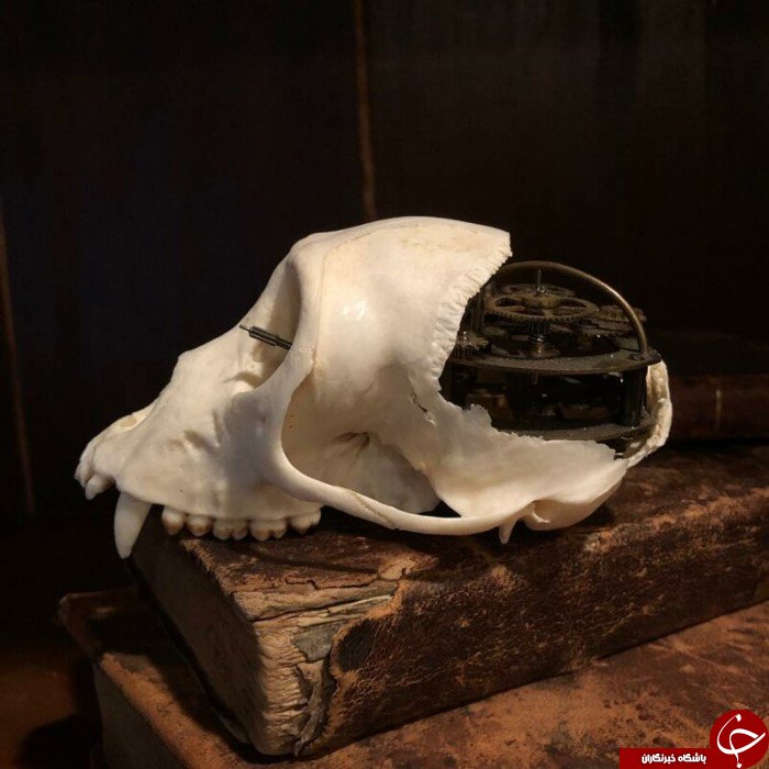 کله پاچه آراسته شده هنر دست هنرمندی ناشناس+تصاویر