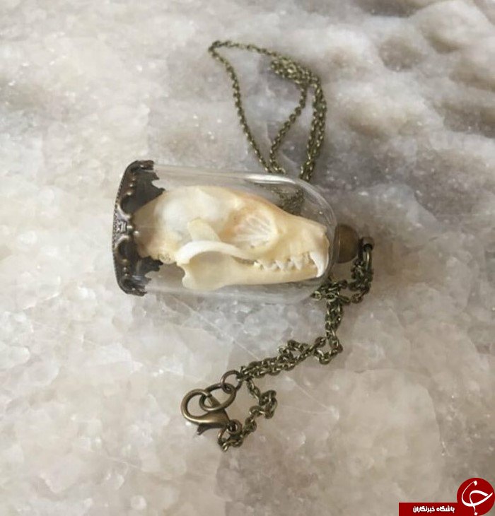 کله پاچه آراسته شده هنر دست هنرمندی ناشناس+تصاویر