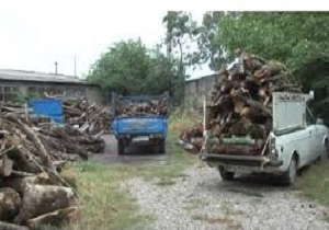 تشدید مبارزه با قاچاقچیان چوب و دام در اردبیل