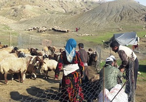 اعتبارات عشایر در شهرستان اردبیل افزایش یابد