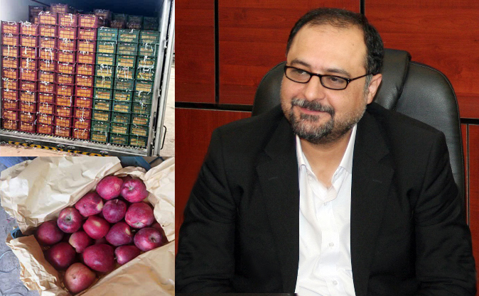 تأمین سیب درختی مورد نیاز طرح تنظیم بازار میوه نوروز ۹۸