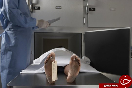 زنده شدن ناگهانی مرده در سردخانه! + تصاویر//