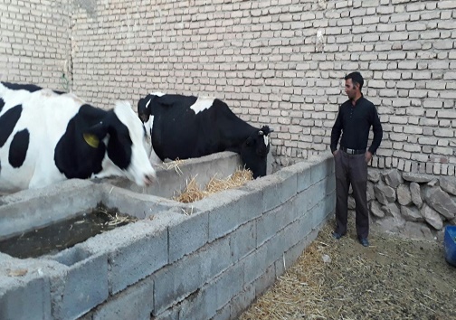 اجرای طرح روستای بدون بیکار در ۵ روستای دیگر خراسان جنوبی