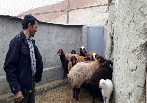 اجرای طرح روستای بدون بیکار در ۵ روستای دیگر خراسان جنوبی