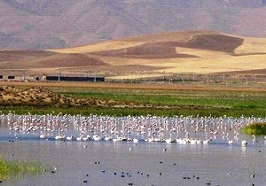 آغاز آبگیری تالاب 'درگه سنگی' نقده