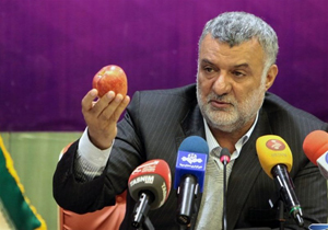 میوه شب عید تا بهمن به استان‌ها حمل می‌شود