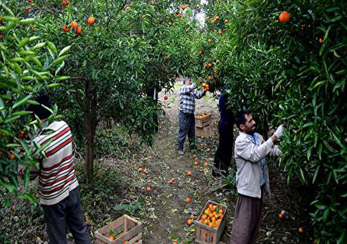 نگاهی گذرا به مهمترین رویداد&zwnj;های دوشنبه ۲۴ دی ماه در مازندران