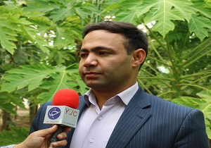 اجرای ۵٠٠ کیلومتر لوله گذاری آب کشاورزی در خاتم
