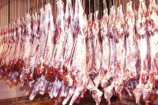 روزانه ۱۲۰ تن گوشت گرم وارد استان تهران می‌شود