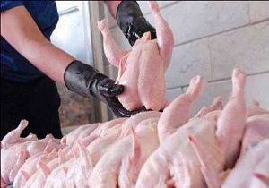 توزیع روزانه ۷۰۰ تُن مرغ در میدان میوه و تره بار بهمن
