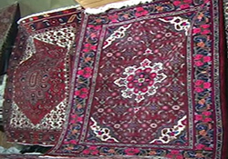 راه تشخیص قارچ سمی از قارچ خوراکی + فیلم