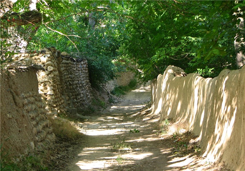 روستای ارمیان، دهکده ای جا مانده از چشم کارشناسان میراث فرهنگی/ مسئولان این گنجینه تاریخ را دریابید