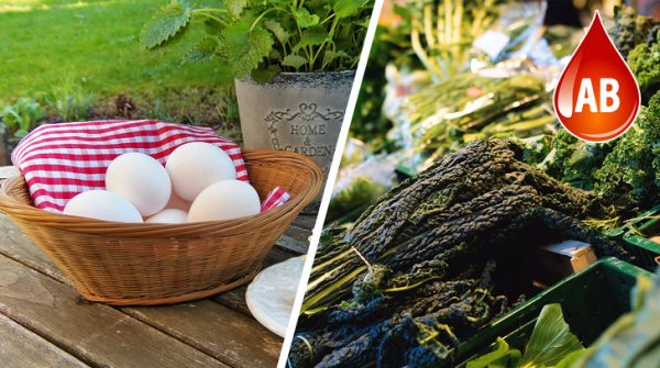 بر اساس گروه خونی چه غذا&zwnj;هایی بخوریم؟