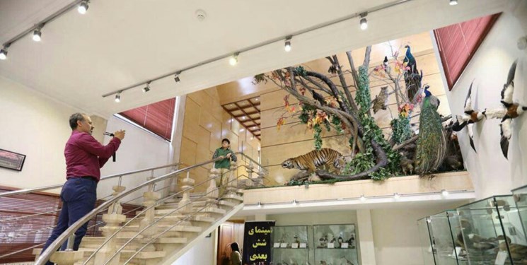 سفر از خلیج فارس به شهر زیرزمینی