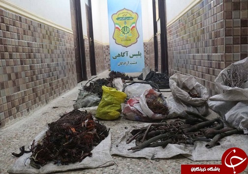 انهدام باند ۶ نفره سارقان کابل و سیم برق در دشت آزادگان