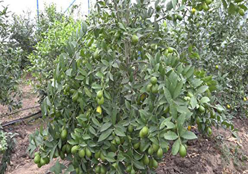 نگاهی گذرا به مهمترین رویداد&zwnj;های چهارشنبه ۲۶ دی ماه در مازندران