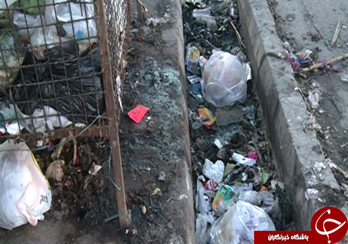 مسکن مهر پیرحاجی گنبدکاووس دستخوش بی مهری / بوی بد زباله کی تمام می شود؟