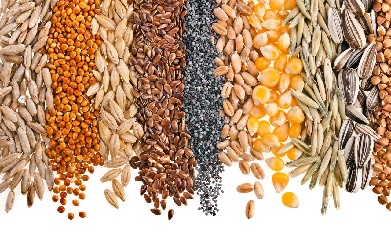قیمت انواع&nbsp;حبوبات غیر شرکتی در غرفه تره بار