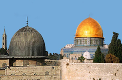 ترور خیابانی یک مرد و زن فلسطینی به دست نظامیان ارتش صهیونیستی + فیلم