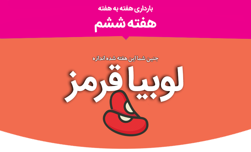 قلب کوچک جنین از هفته ششم بارداری می&zwnj;تپد/ توصیه&zwnj;هایی مهم به مادران باردار+ تصاویر