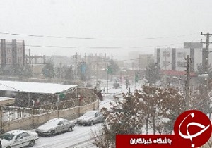 ادامه بارش‌ها تا پایان ظهر امروز/ بارش بیش از ۱۴ سانتی متر برف در معلم کلایه
