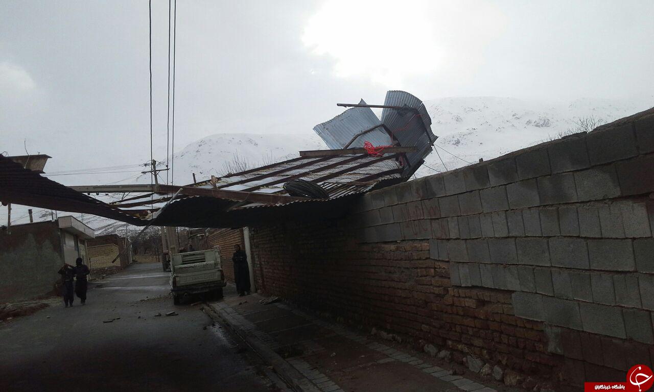 خسارت باد شدید در 