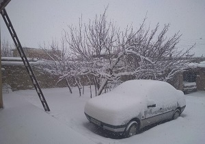 لحظات زیبای بارش برف در زنجان + فیلم