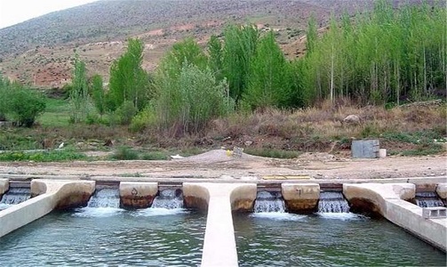 آبزی&zwnj;پروری اردبیل درگیر برخی چالش&zwnj;های ریز و درشت/ میزان صادرات ماهی علی&zwnj;رغم تولید بالا ناچیز است