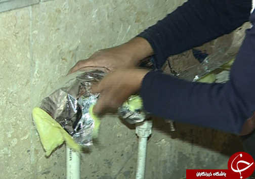 چهره گلستان زمستانی شد / در برف و سرما چه مراقبت&zwnj;هایی لازم است؟