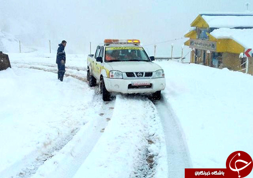 چهره گلستان زمستانی شد / در برف و سرما چه مراقبت&zwnj;هایی لازم است؟