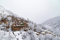 تبریز سپید